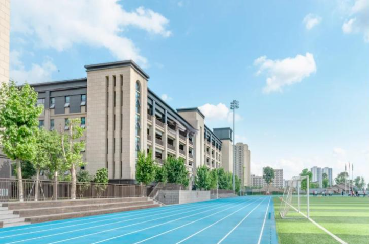 中考分流建议上国际学校吗?