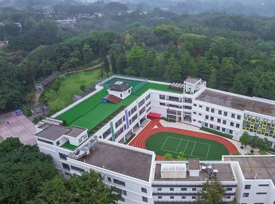 申请美国本科留学需要哪些条件?